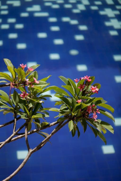 Palloma Hotel Kuta Kuta Lombok Buitenkant foto